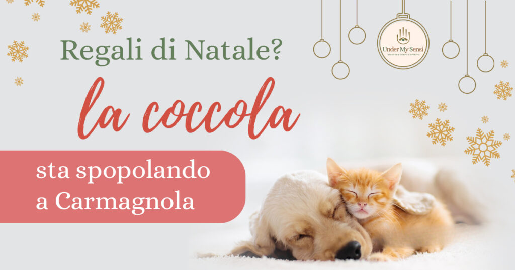 Buono regalo La Coccola Natale massaggio Easy Touch Under My Sensi a Carmagnola